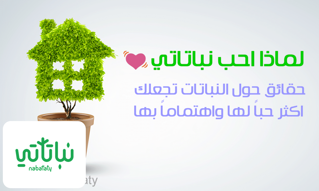 لماذا أحب نباتاتي؟