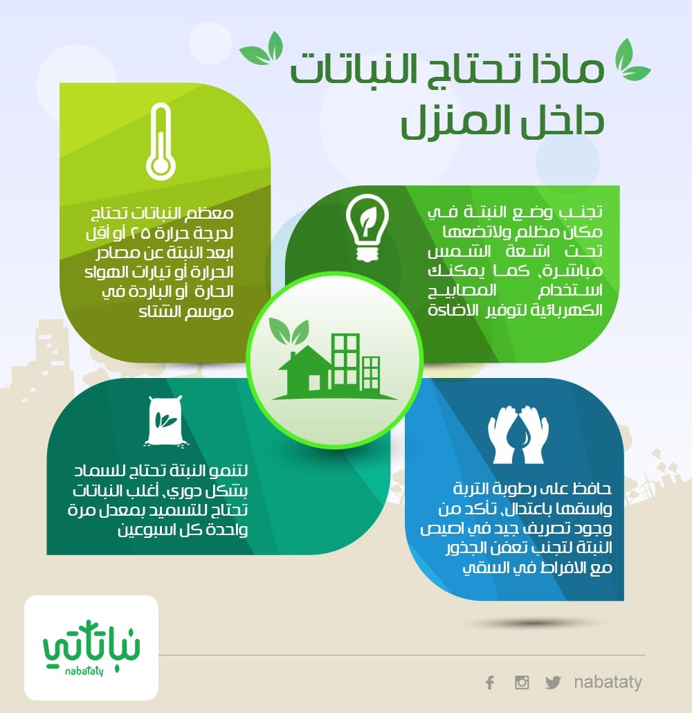 صورة نبات انفوجرافيك العناصر الرئيسية للعناية بالنباتات