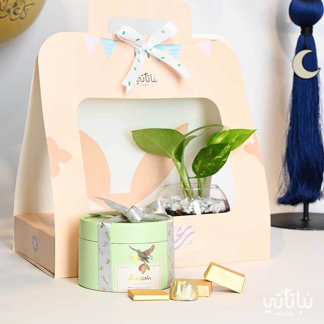  هولدر نبتة وتشوكلت