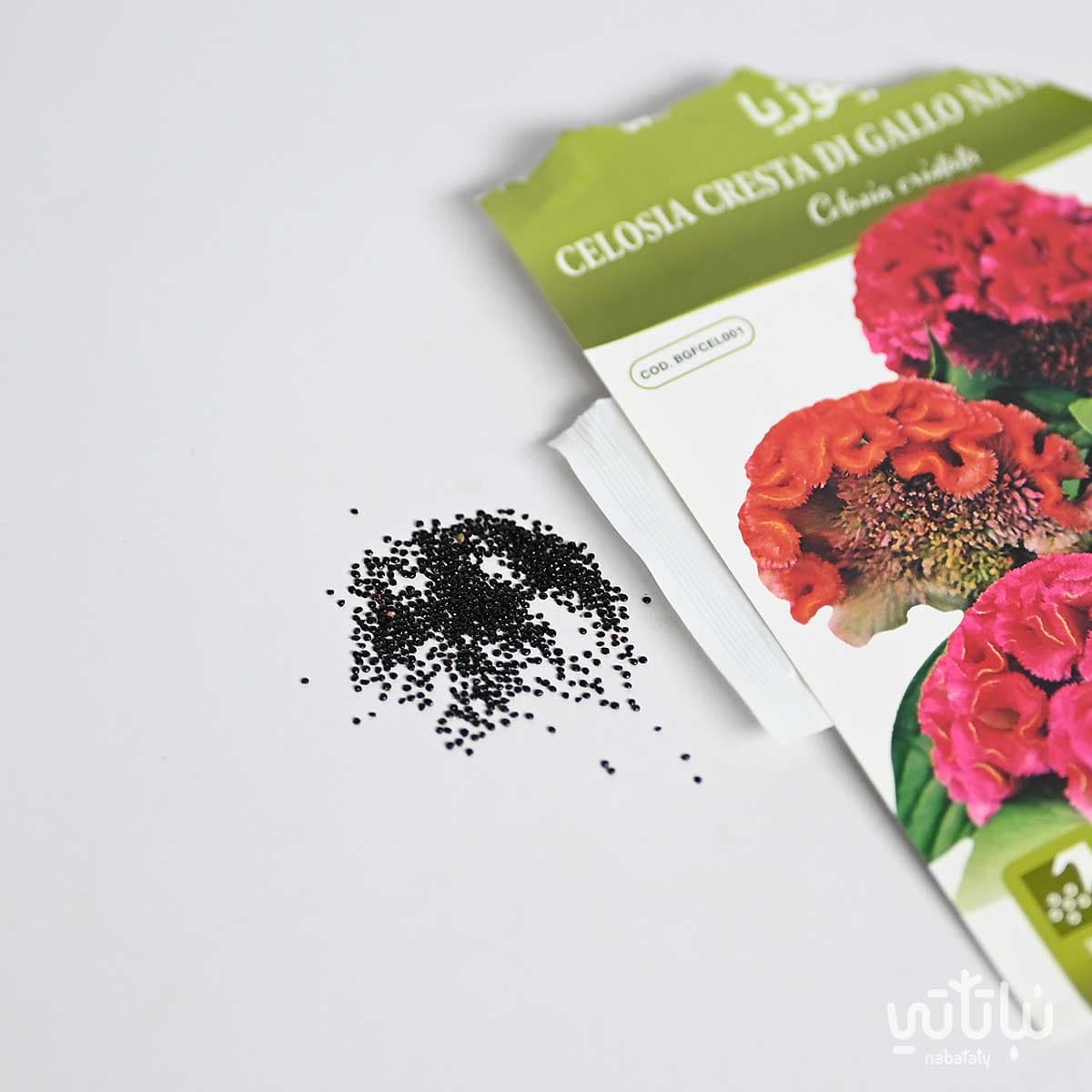 Celosia Seeds 2