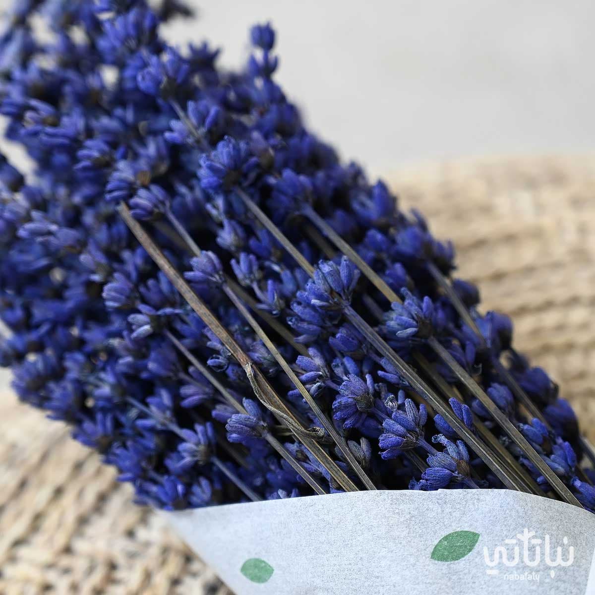 لافندر مجفف 2