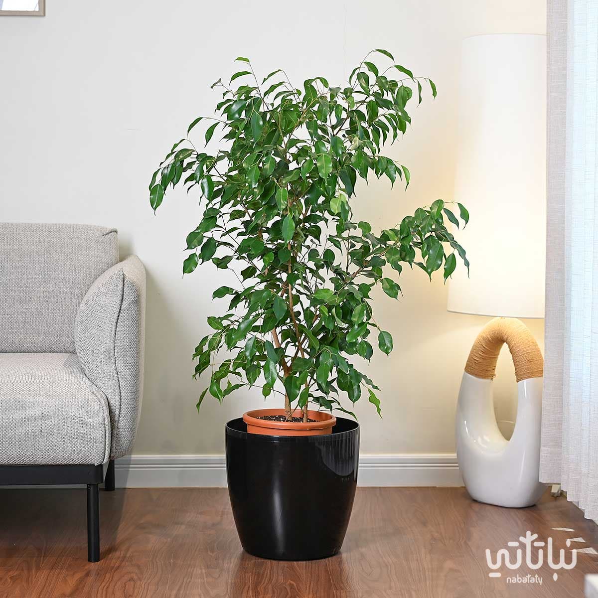 Self watering pot 35 cm black 2