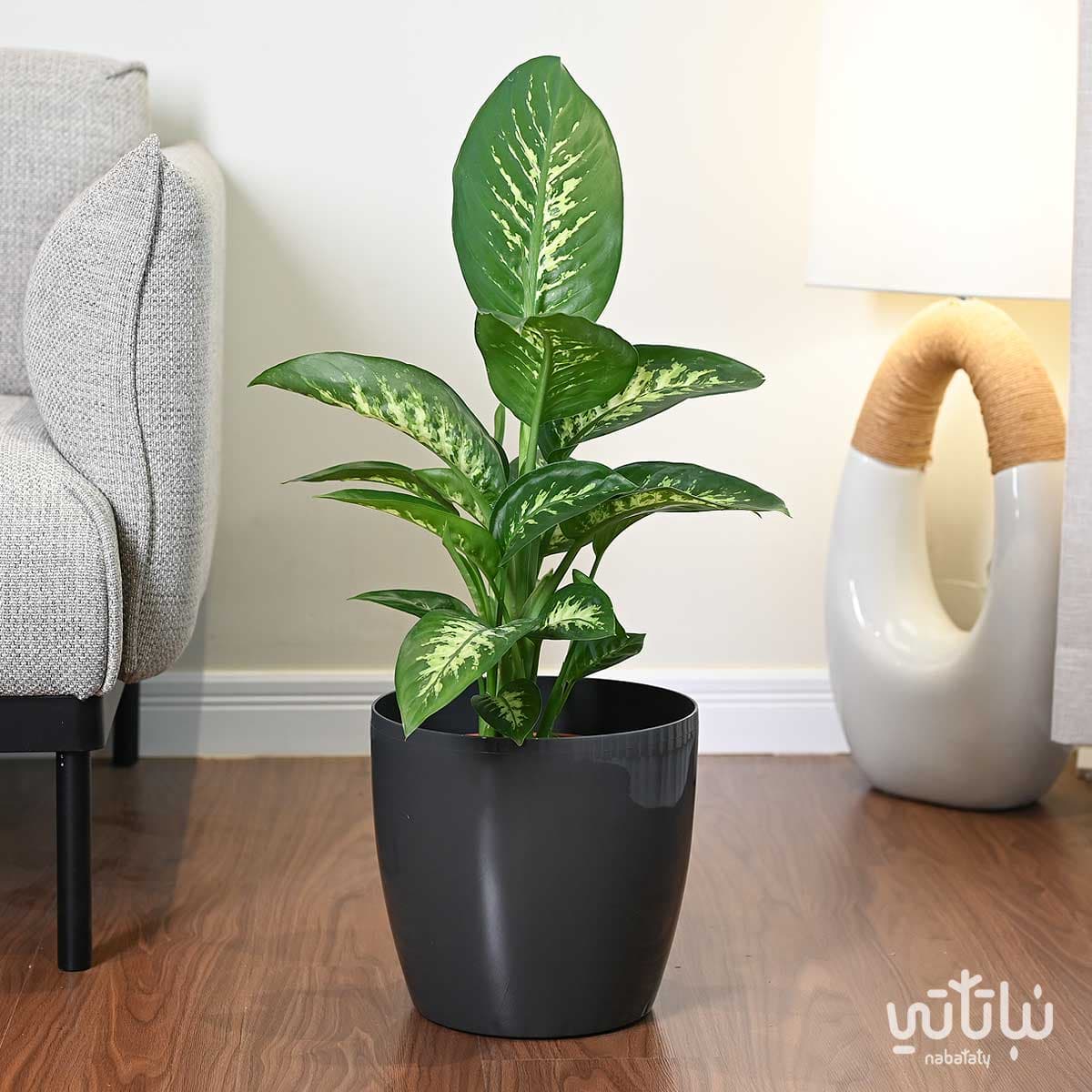 Self-watering pot 28 cm gray 2