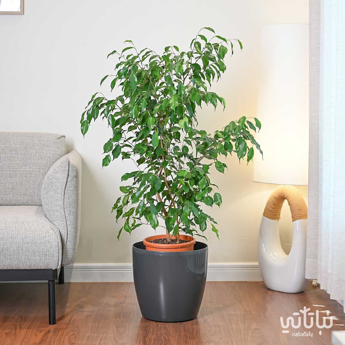 حوض نباتات ري ذاتي 35 سم رمادي 2