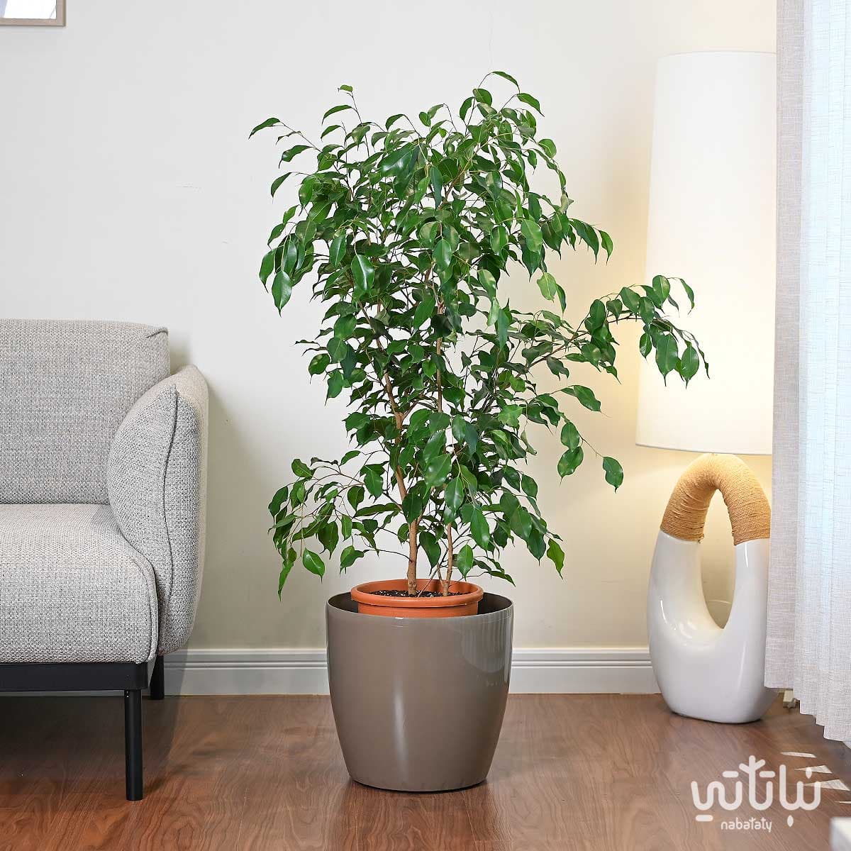 حوض نباتات ري ذاتي 35 سم زيتي 2