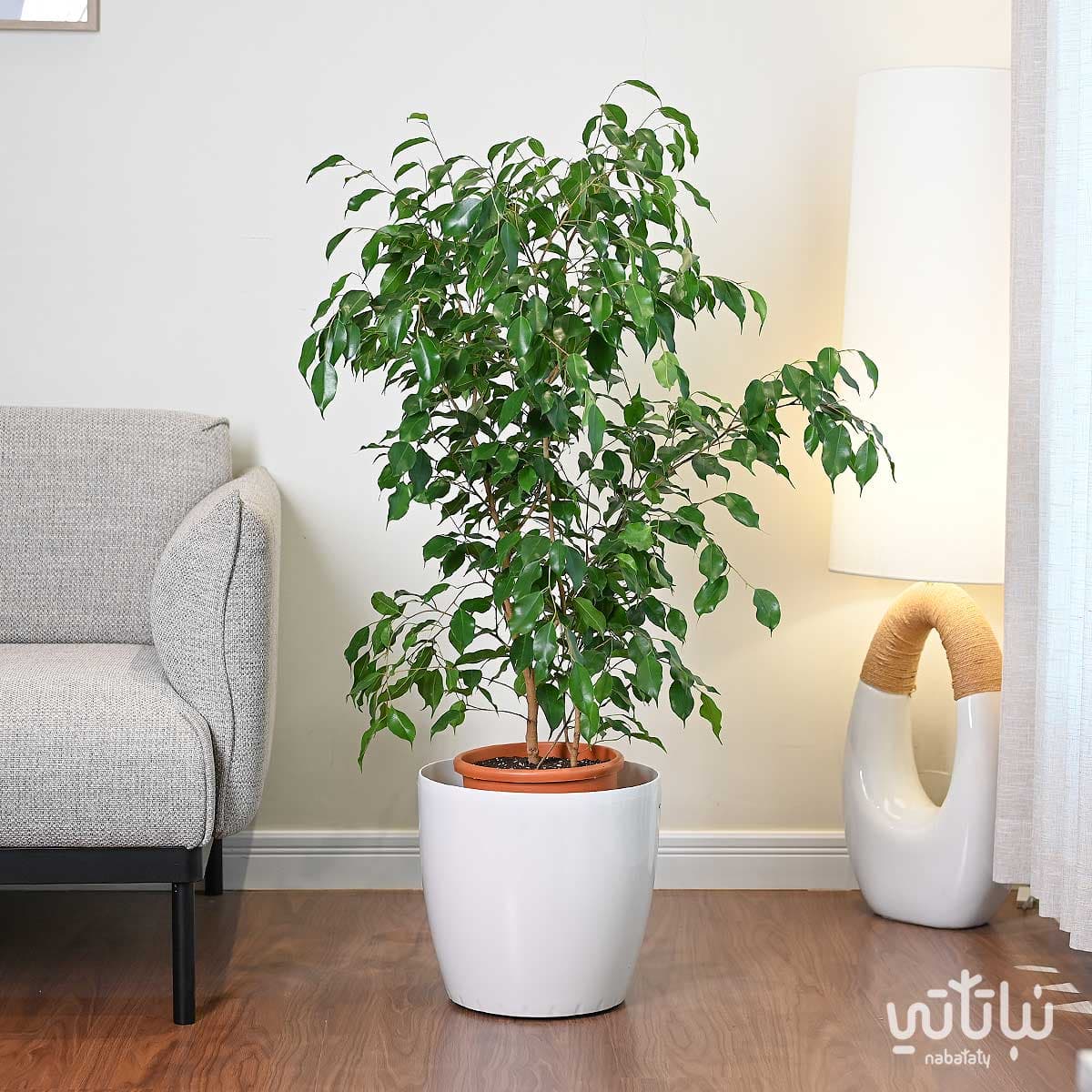 Self-watering pot 35 cm white 2