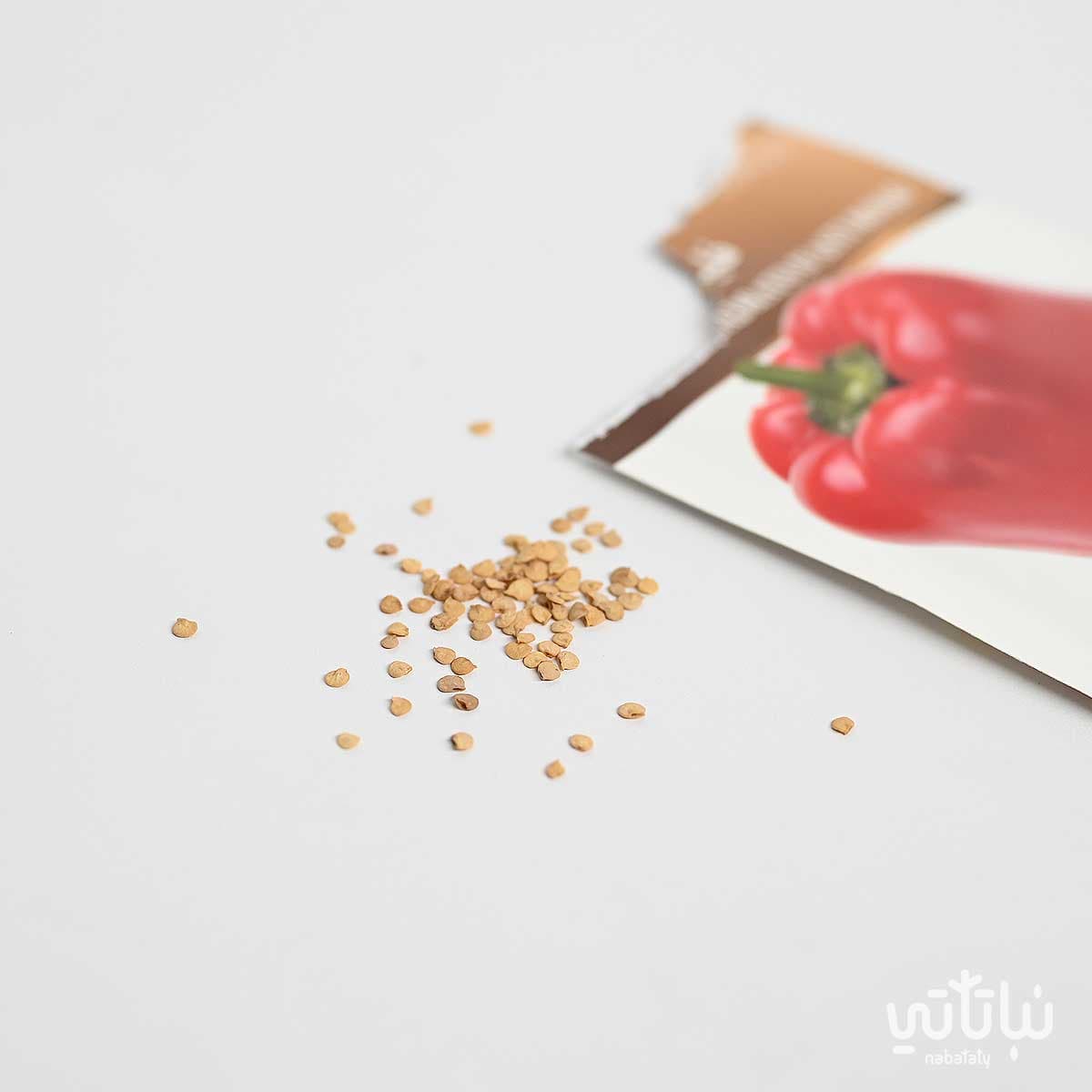 Red Sweet Pepper Seeds 2