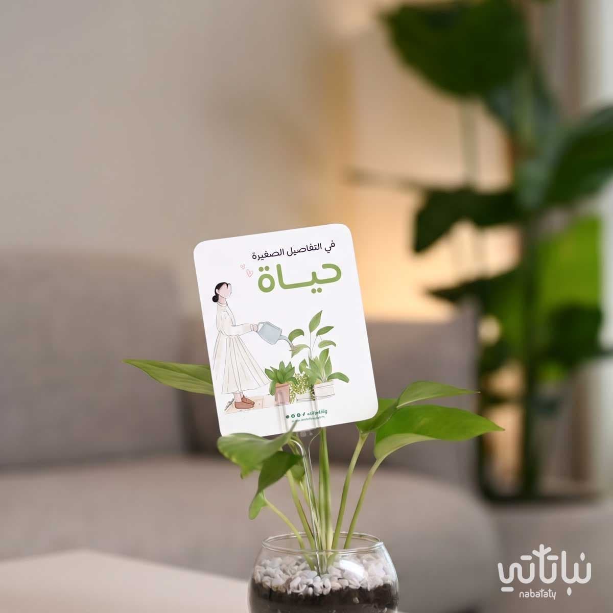كرت اهداء في التفاصيل الصغيرة حياة 3