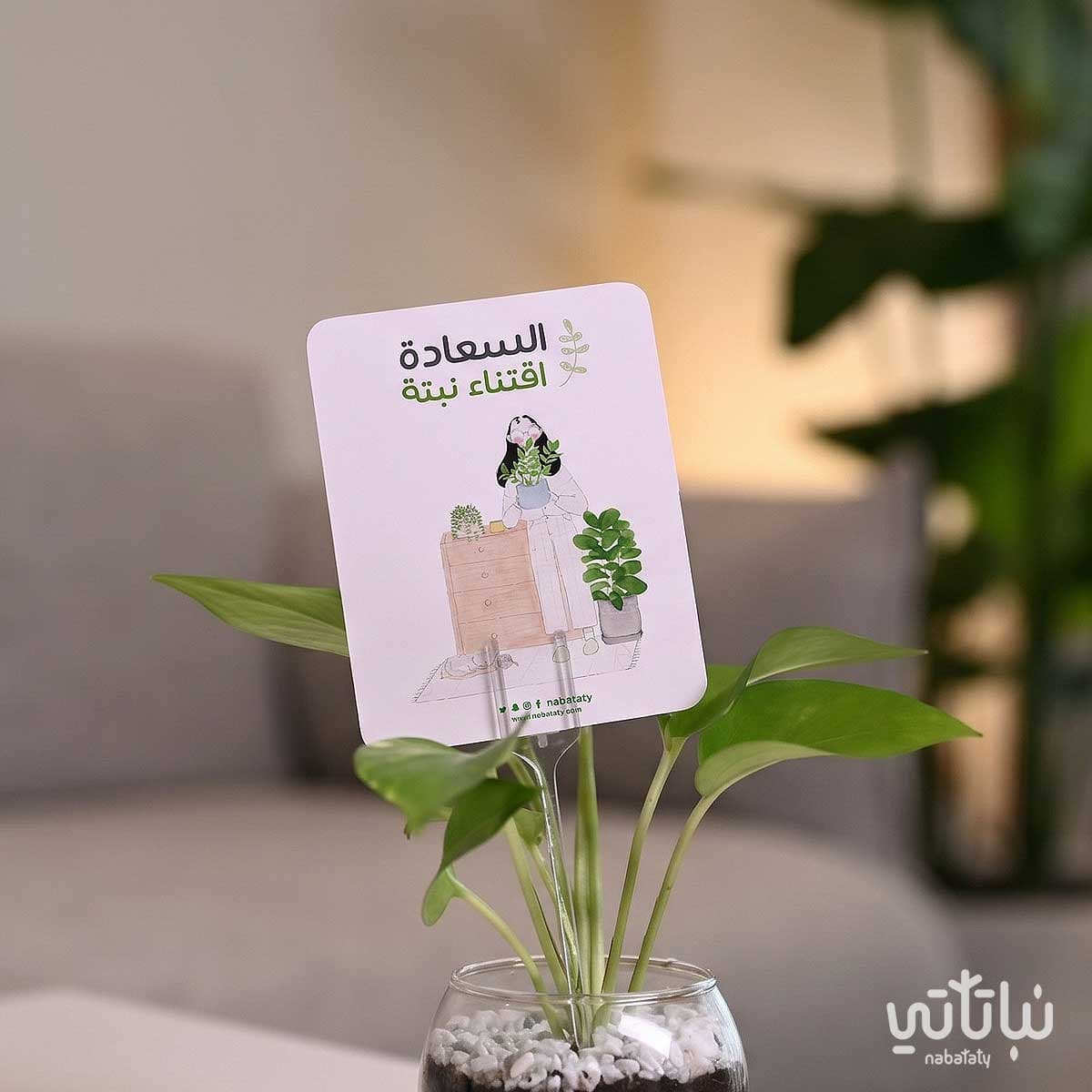 كرت اهداء السعادة اقتناء نبتة 3