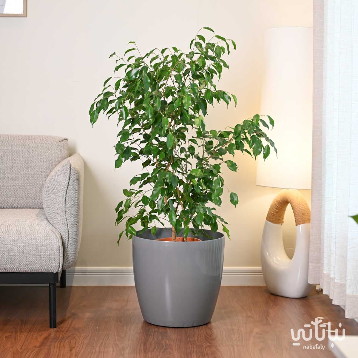 حوض نباتات ري ذاتي 43 سم رمادي فاتح 2