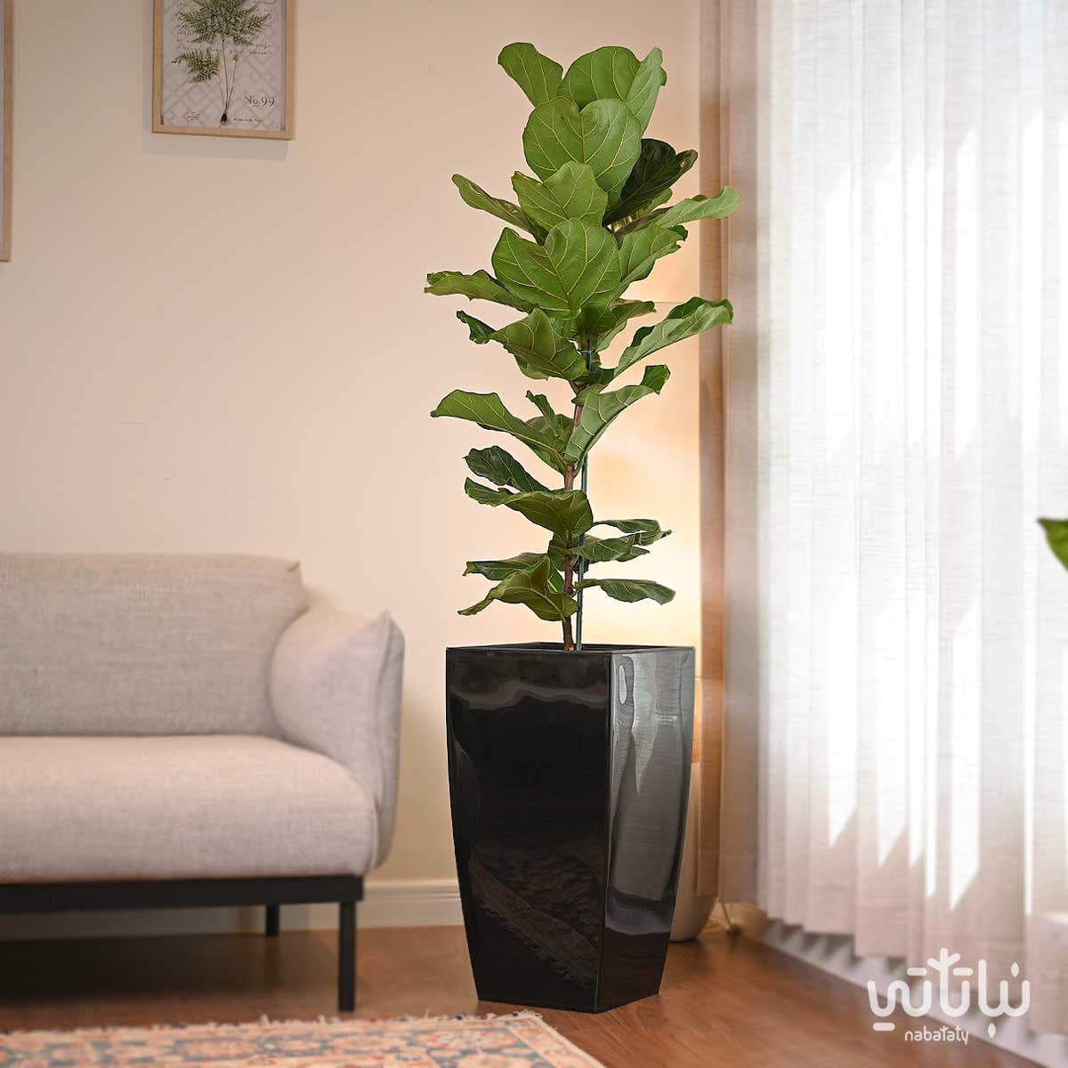 Large Black Rectangular Self-Watering Plant Pot 2