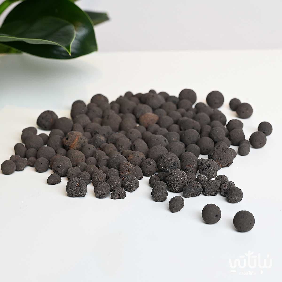 Black volcanic stone 5L 1