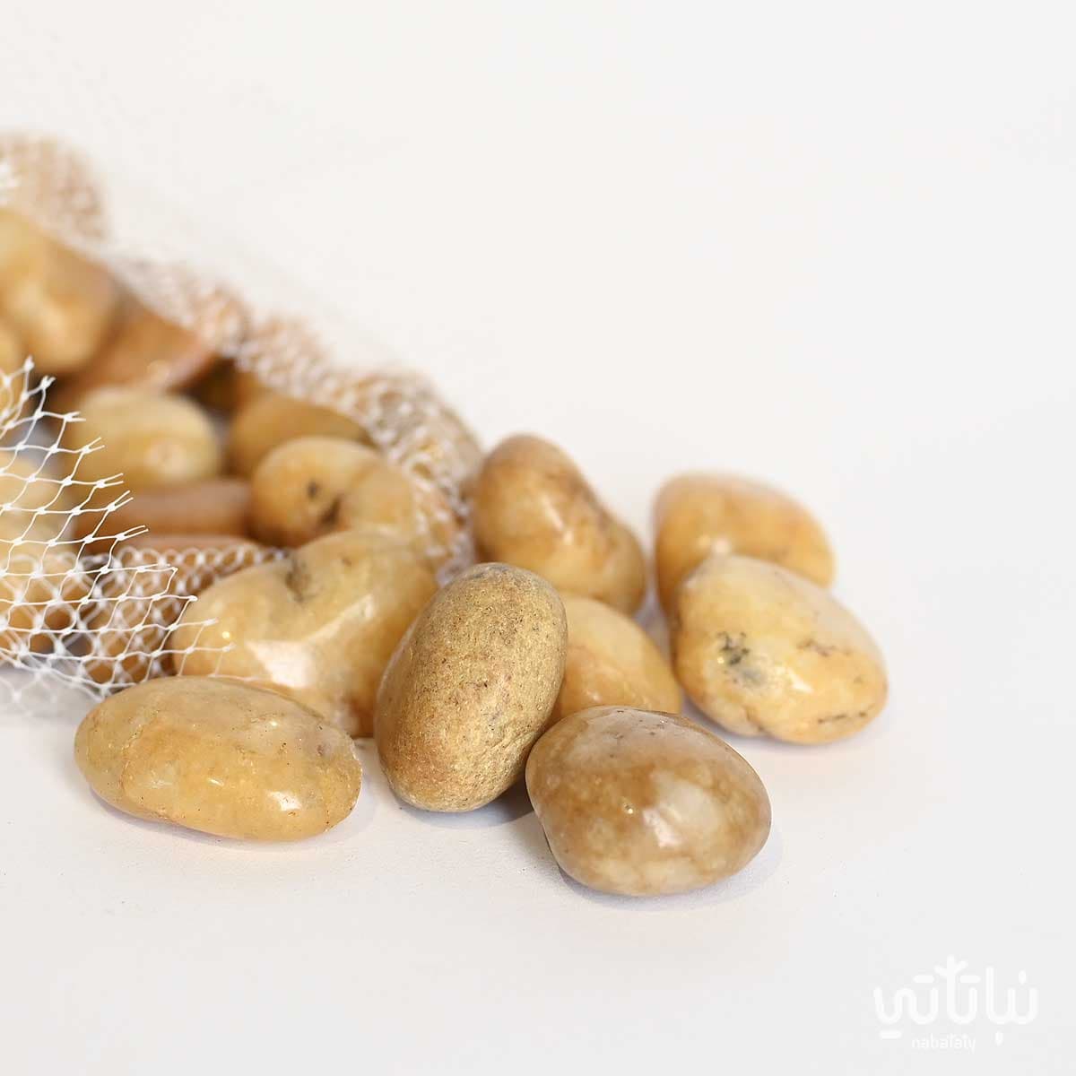 Large shiny brown river stone 1