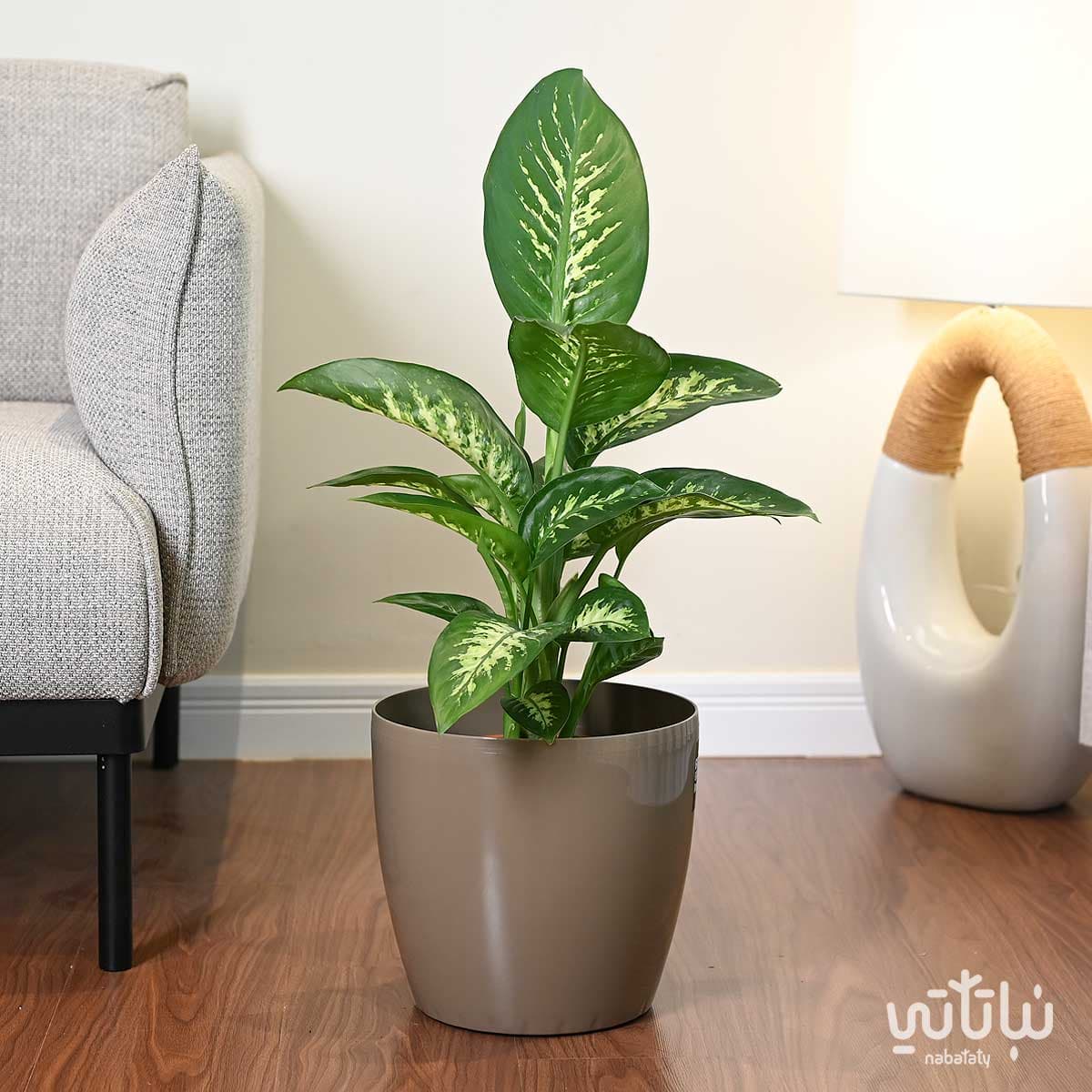 حوض نباتات ري ذاتي 28 سم زيتي 2