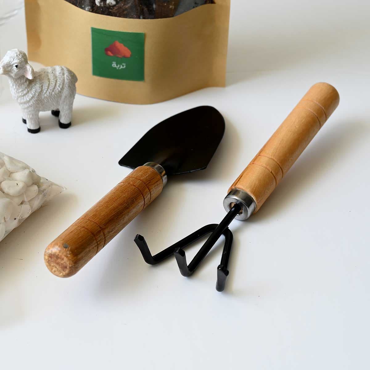 Terrarium set for kids 4