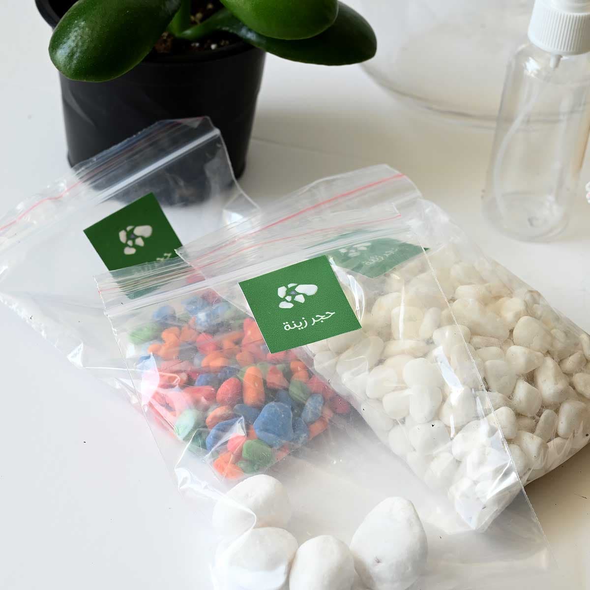 Terrarium set for kids 3