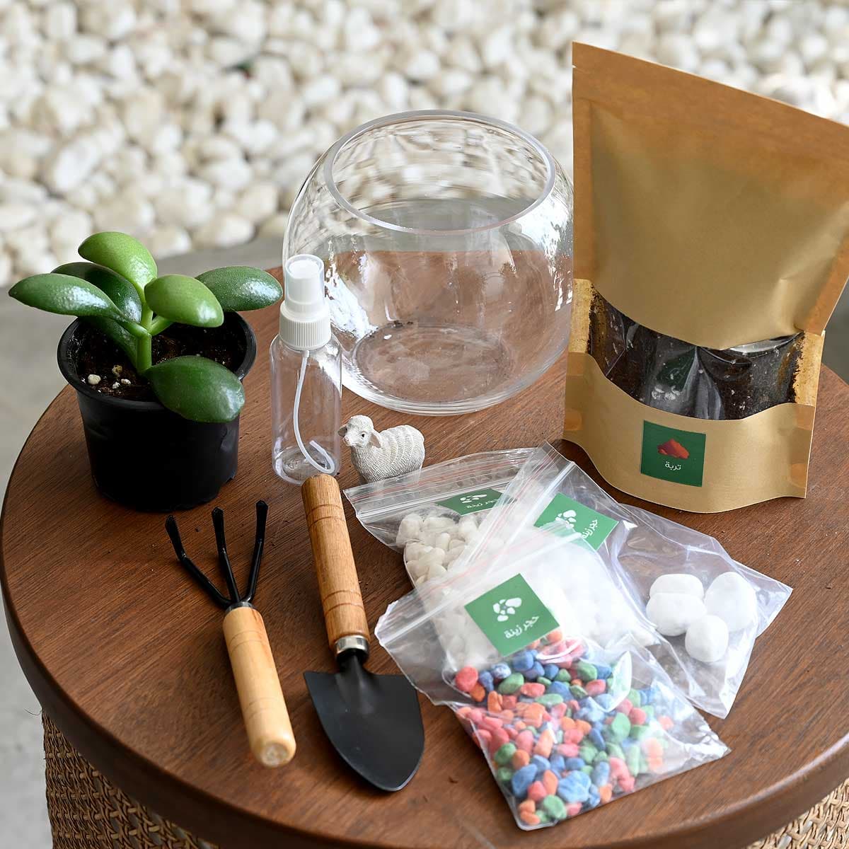 Terrarium set for kids 1