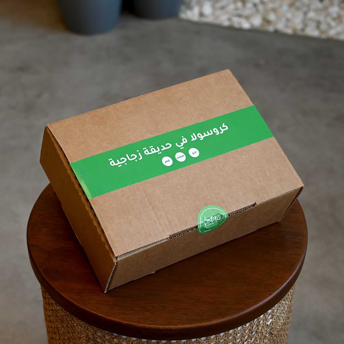 Terrarium set for kids 6