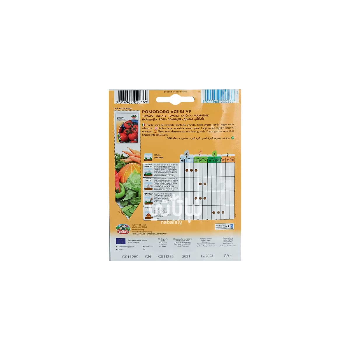 بذور طماطم 2