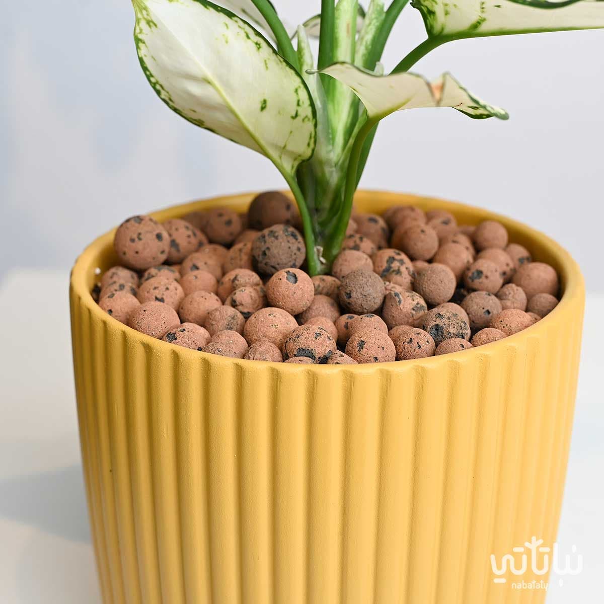 حجر الطين ليكا بني 10 لتر 2