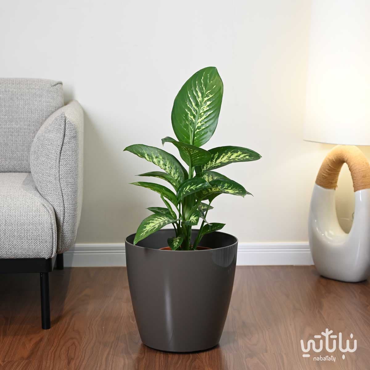 حوض نباتات ري ذاتي دائري 36 سم بني 2