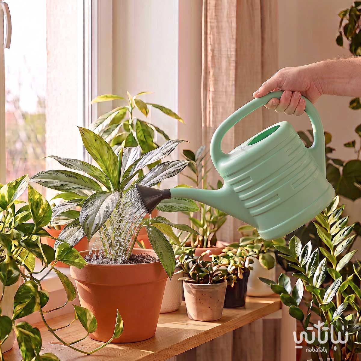 Turquoise watering can 2L 2