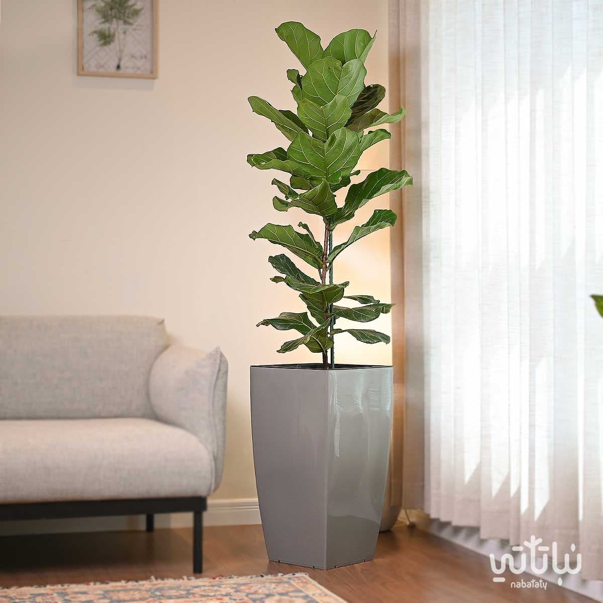 Large light gray plastic linear self watering pot 2