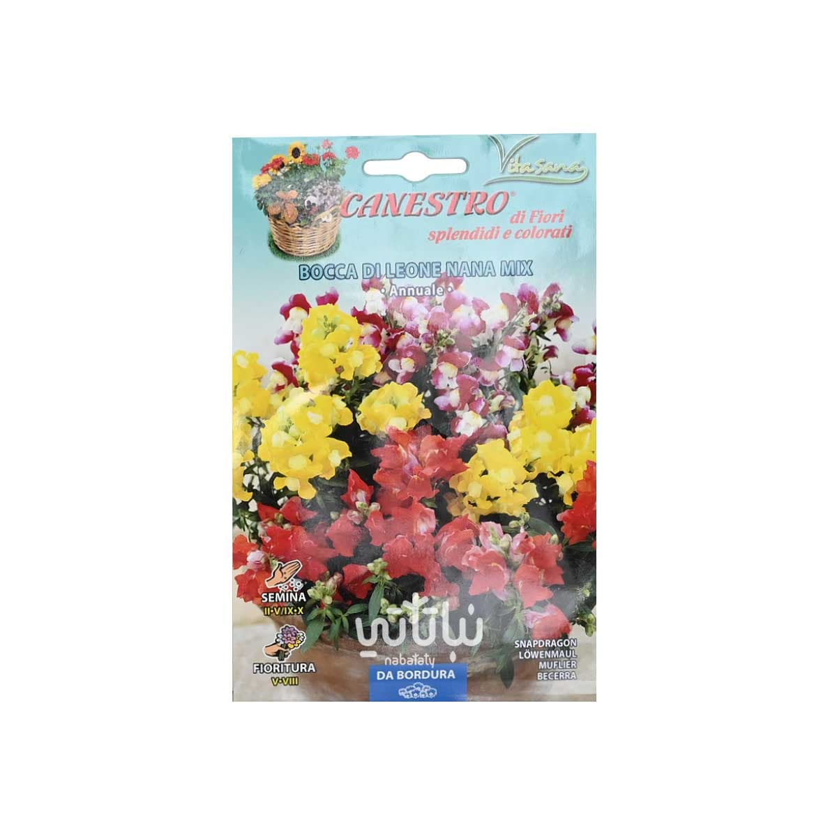 بذور انف السمكة 1