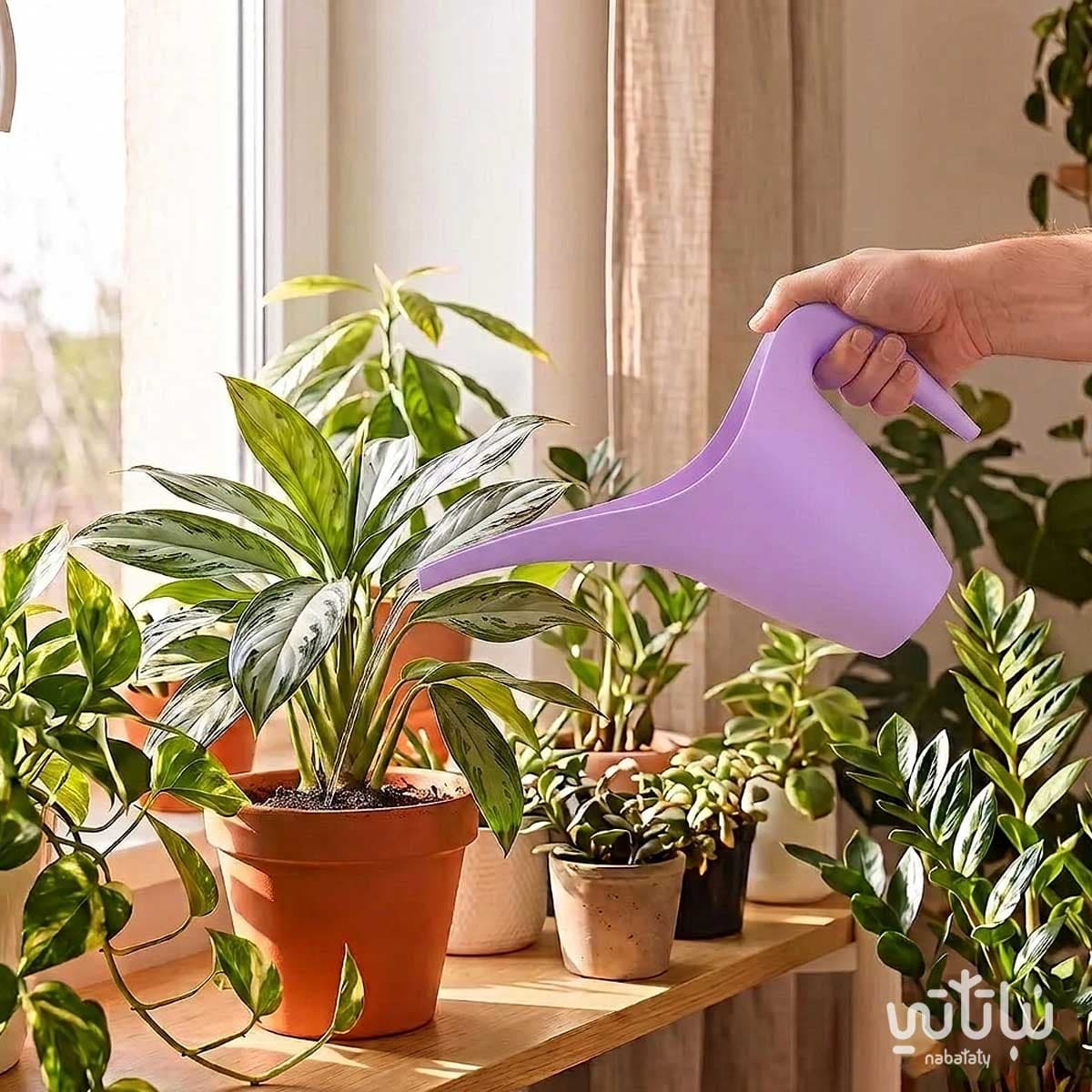 Light purple watering can 1.8L 3