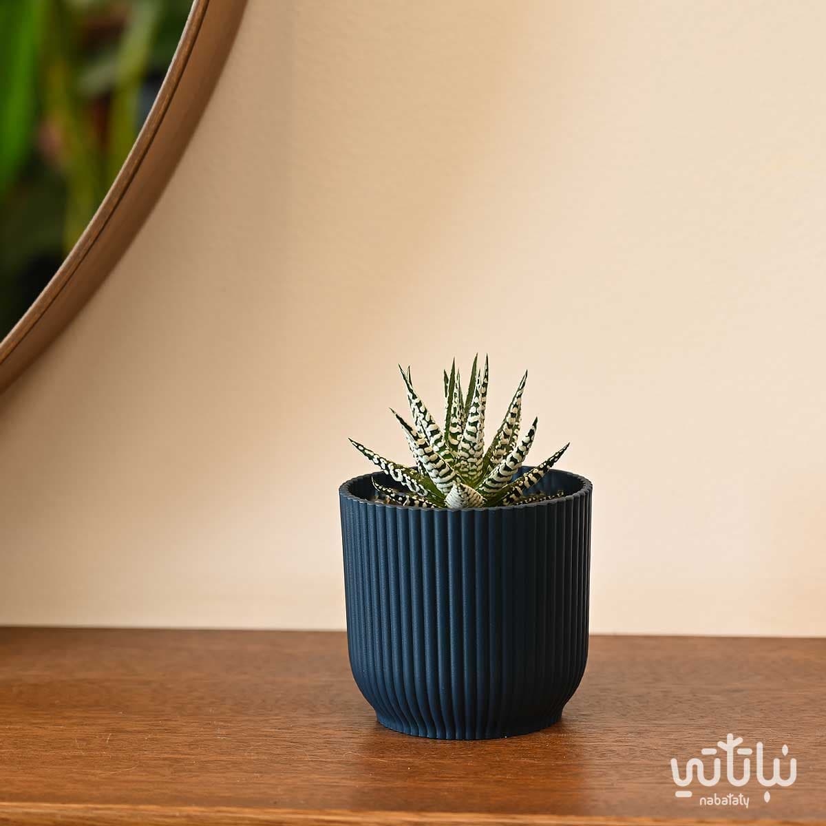 حوض بلاستيك دائري مخطط ازرق داكن 9 سم 2