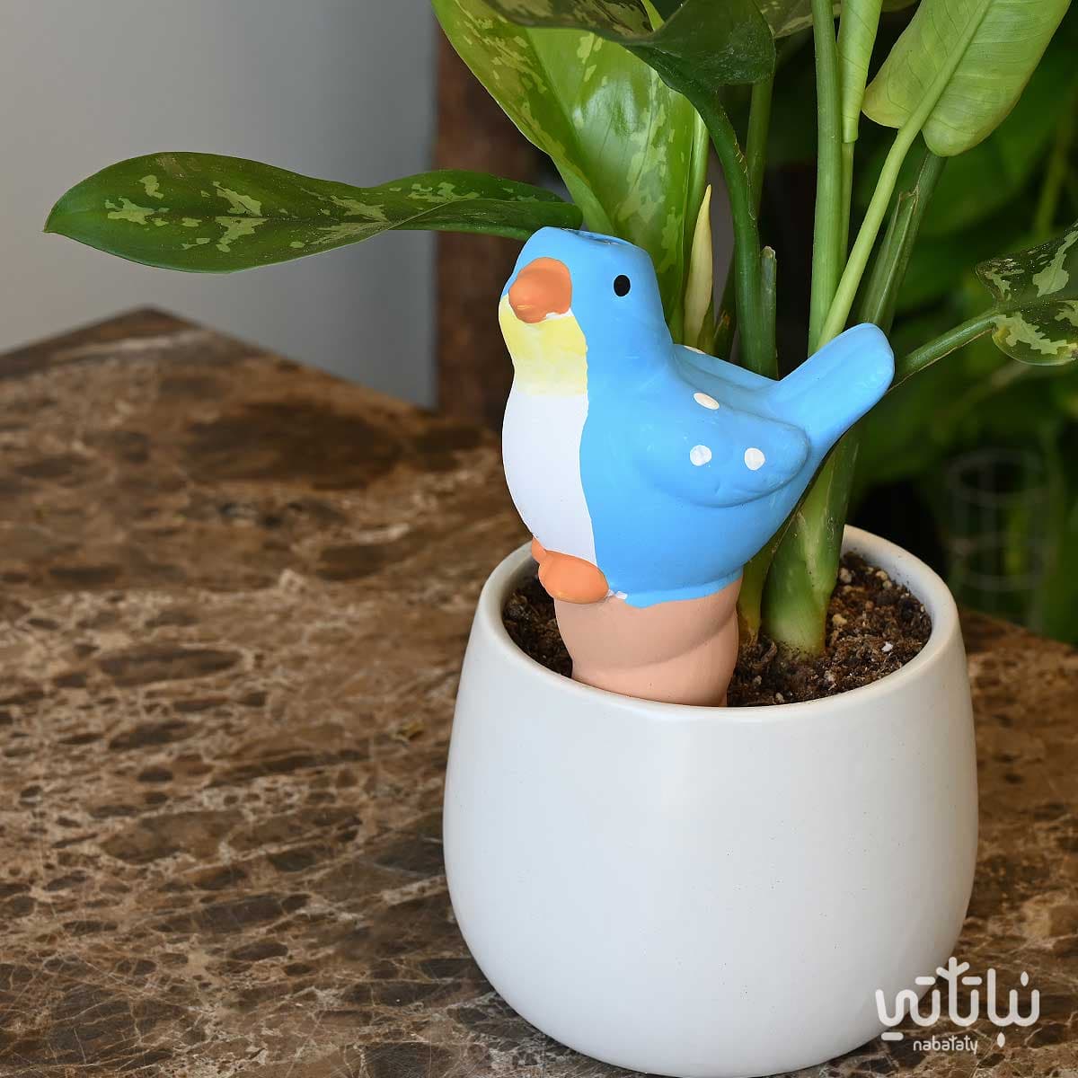 Pottery irrigation funnel shape of a bird 1
