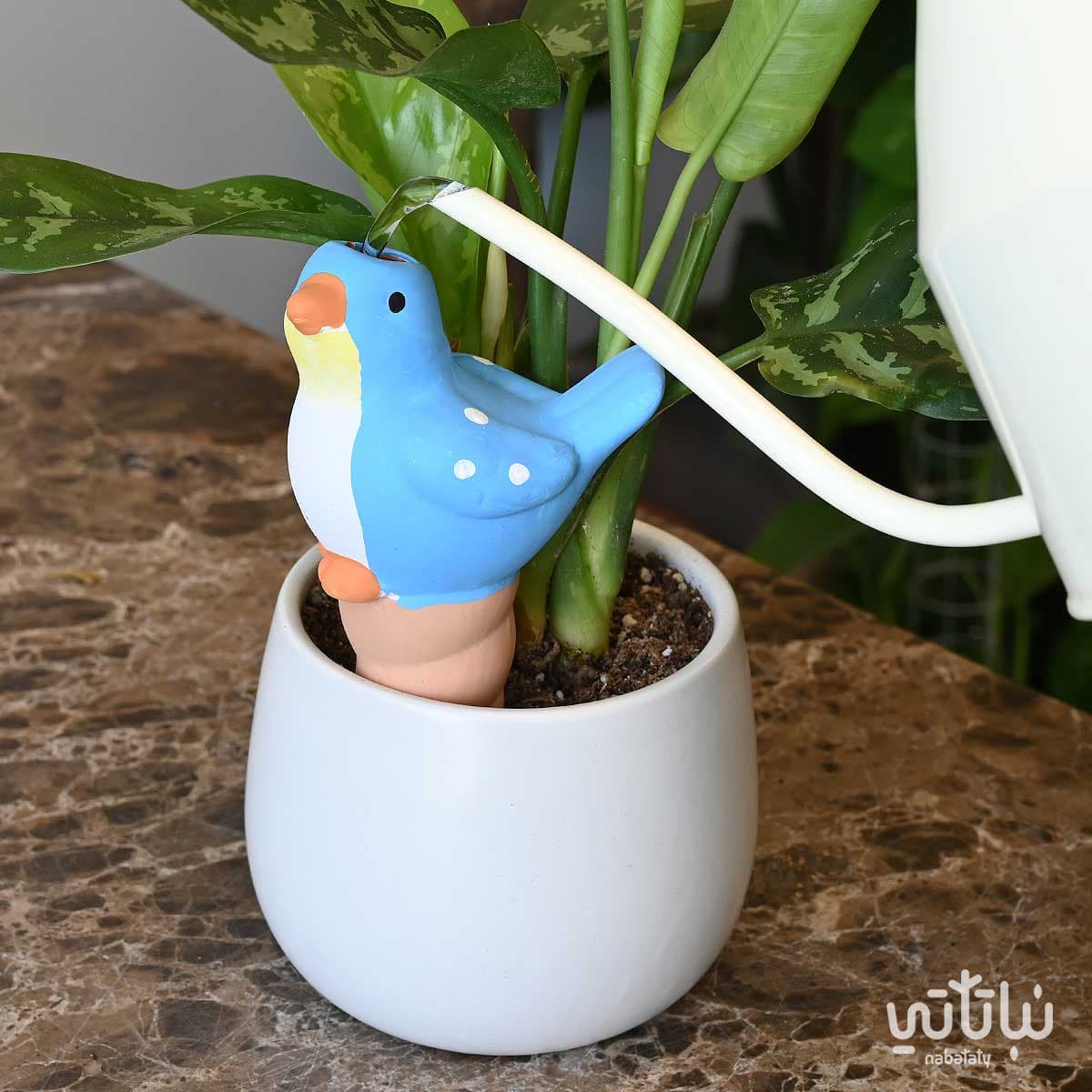 Pottery irrigation funnel shape of a bird 2