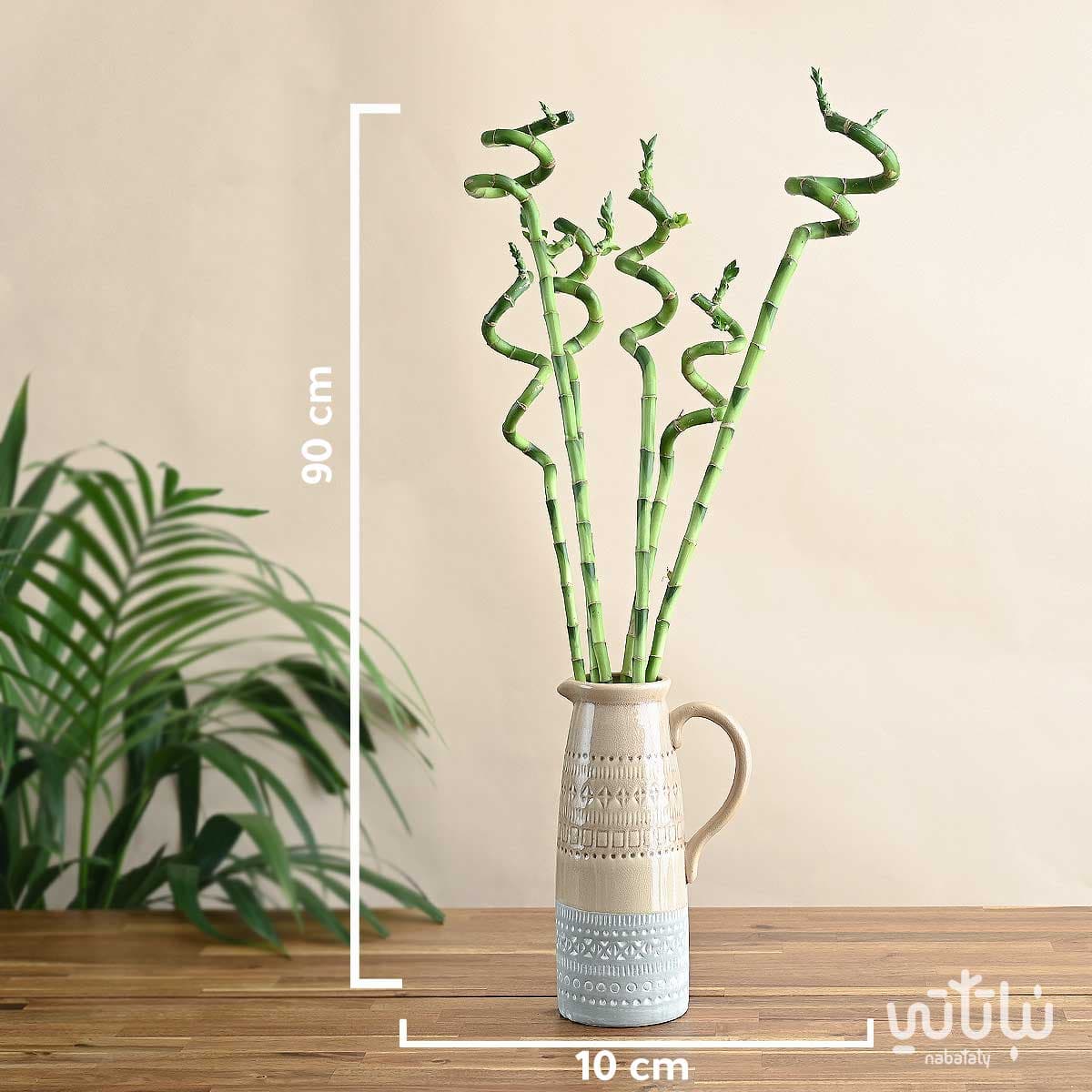 نبتة ساق البامبو متعددة في فازة سيراميك 2