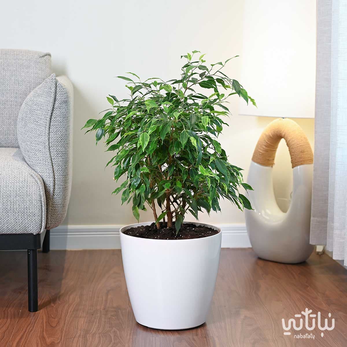 حوض نباتات ري ذاتي دائري ابيض 30 سم 2