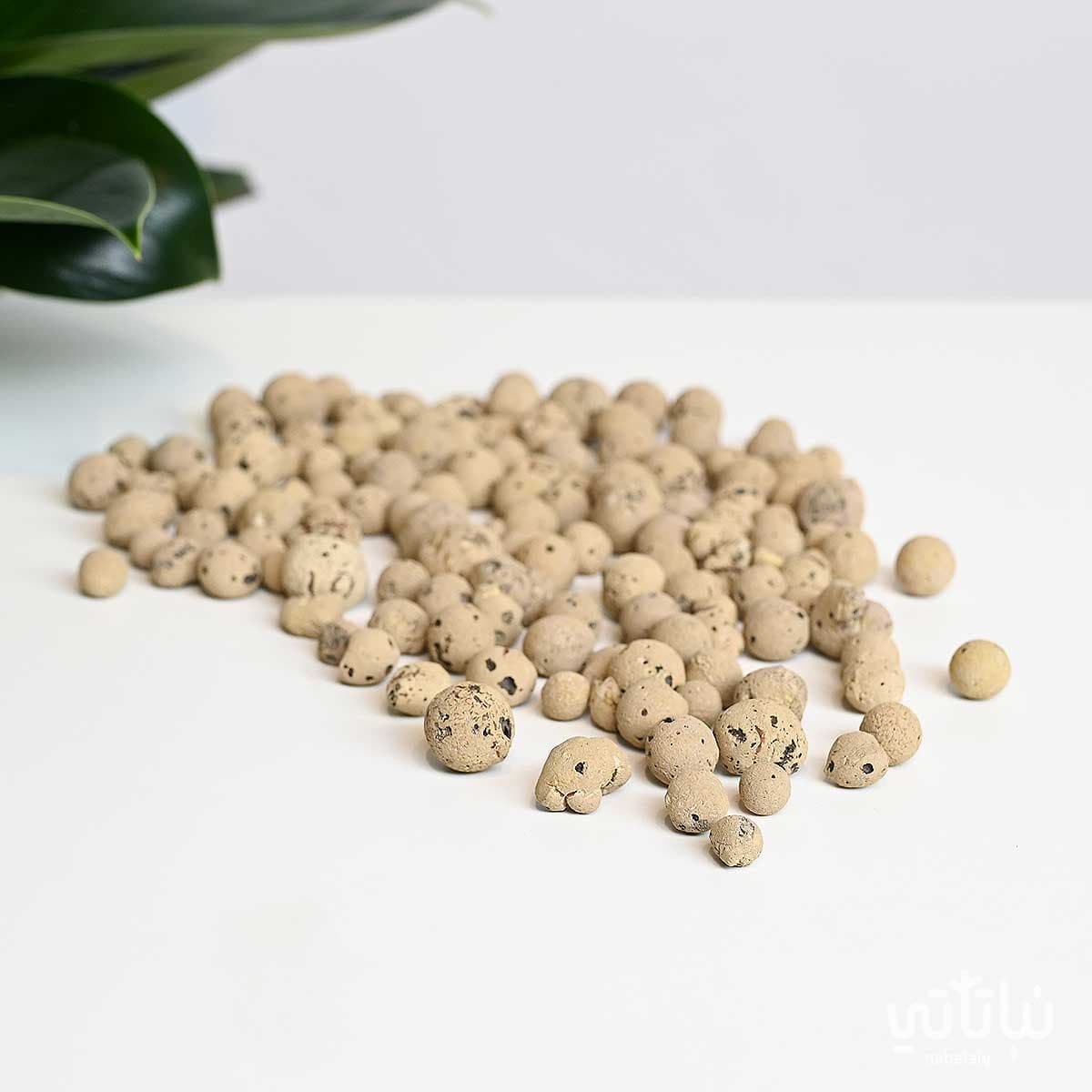 حجر الطين ليكا بيج 10 لتر 1