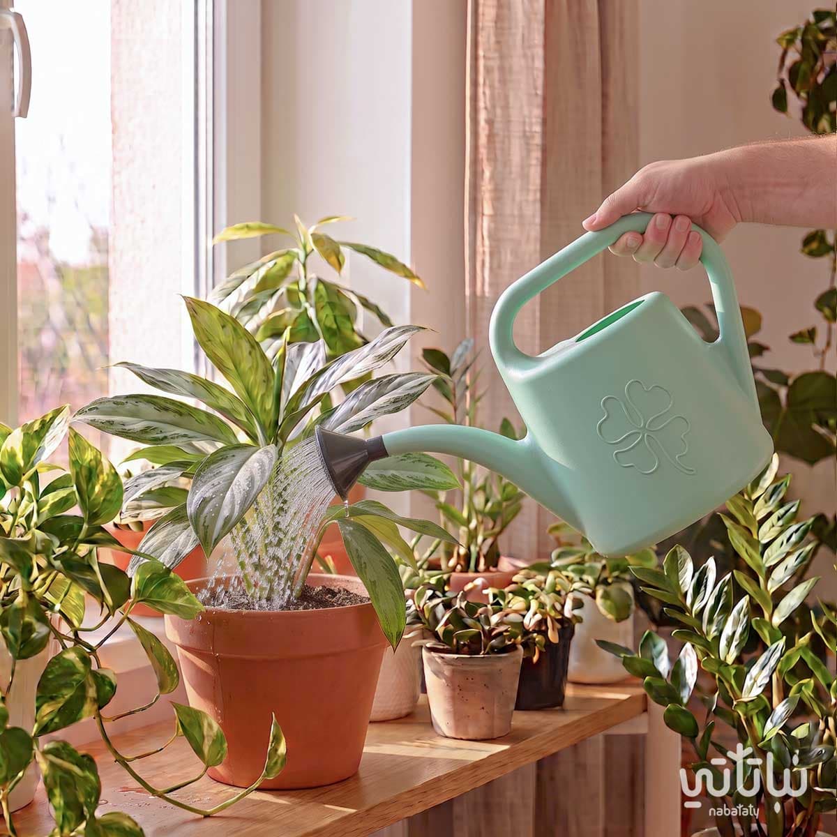 1.8 liter Turquoise irrigation jug 2