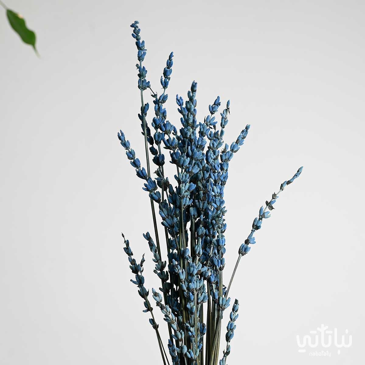 Small gray circular dried lavender vase 3