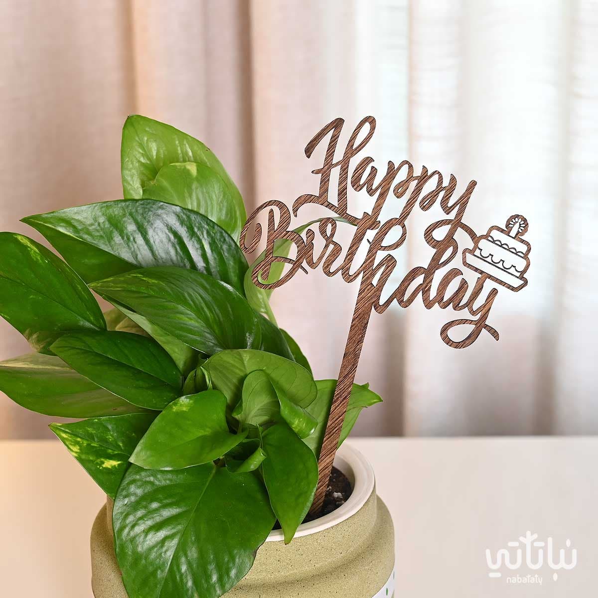 Birthday gift pothos plant 2