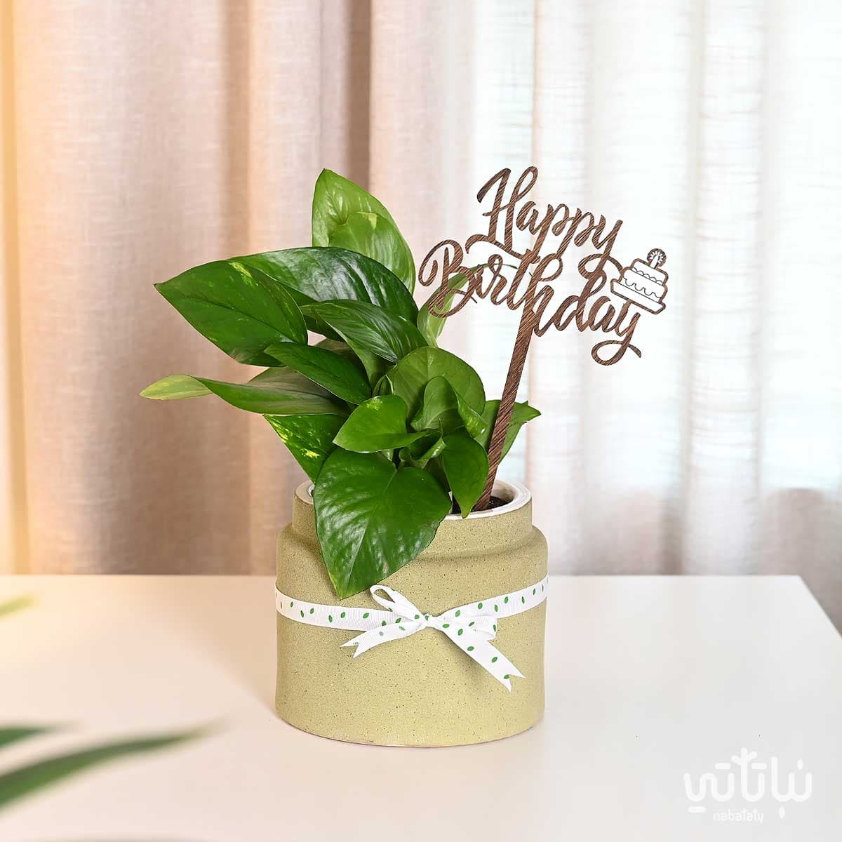 Birthday gift pothos plant 1