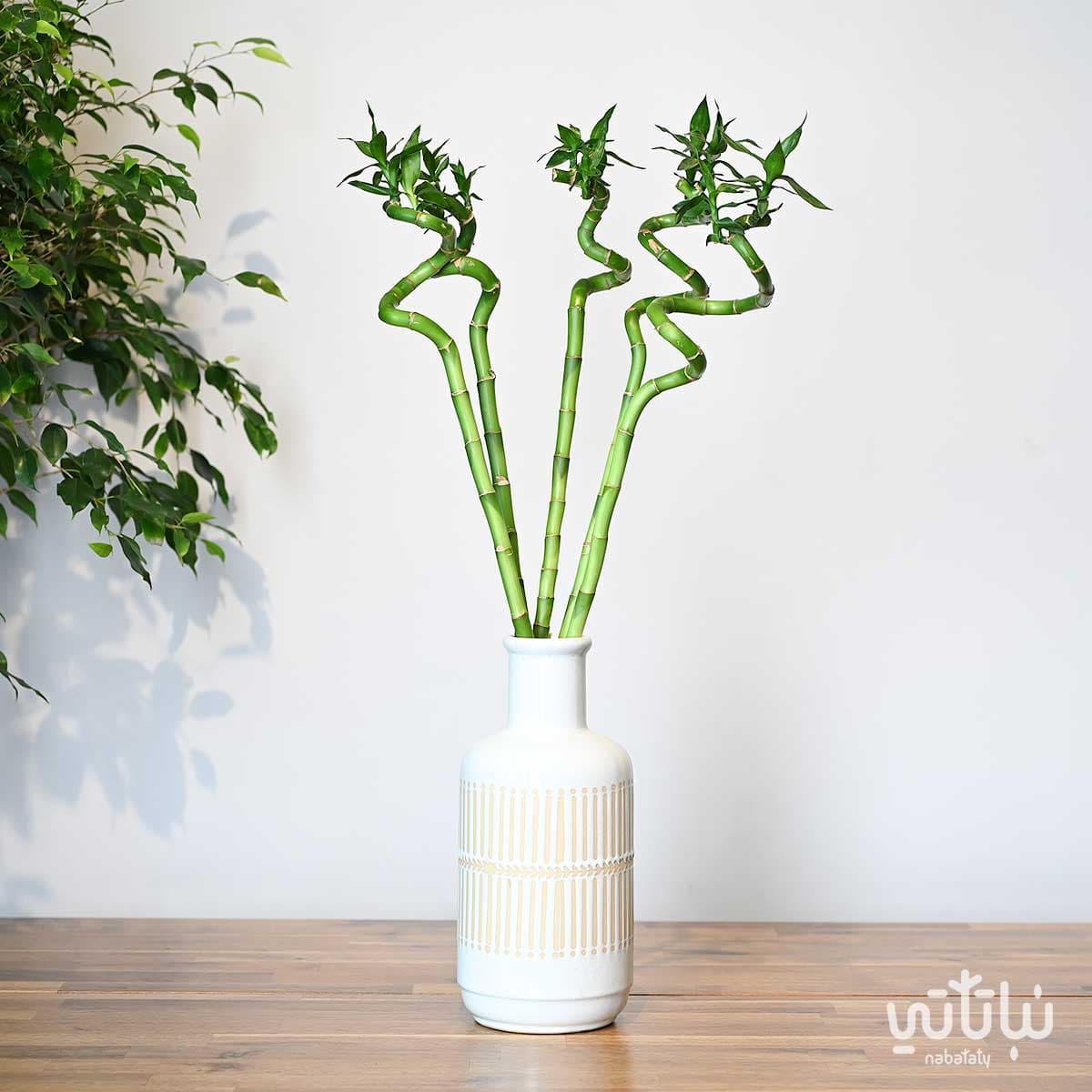 70 cm bamboo plant in a ceramic vase 1