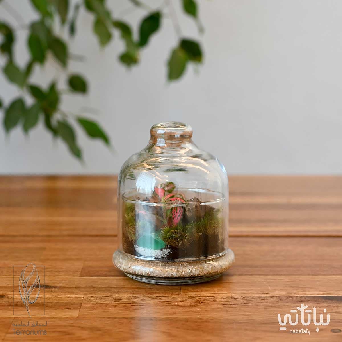 حديقة غابة الفيتونيا صغيرة