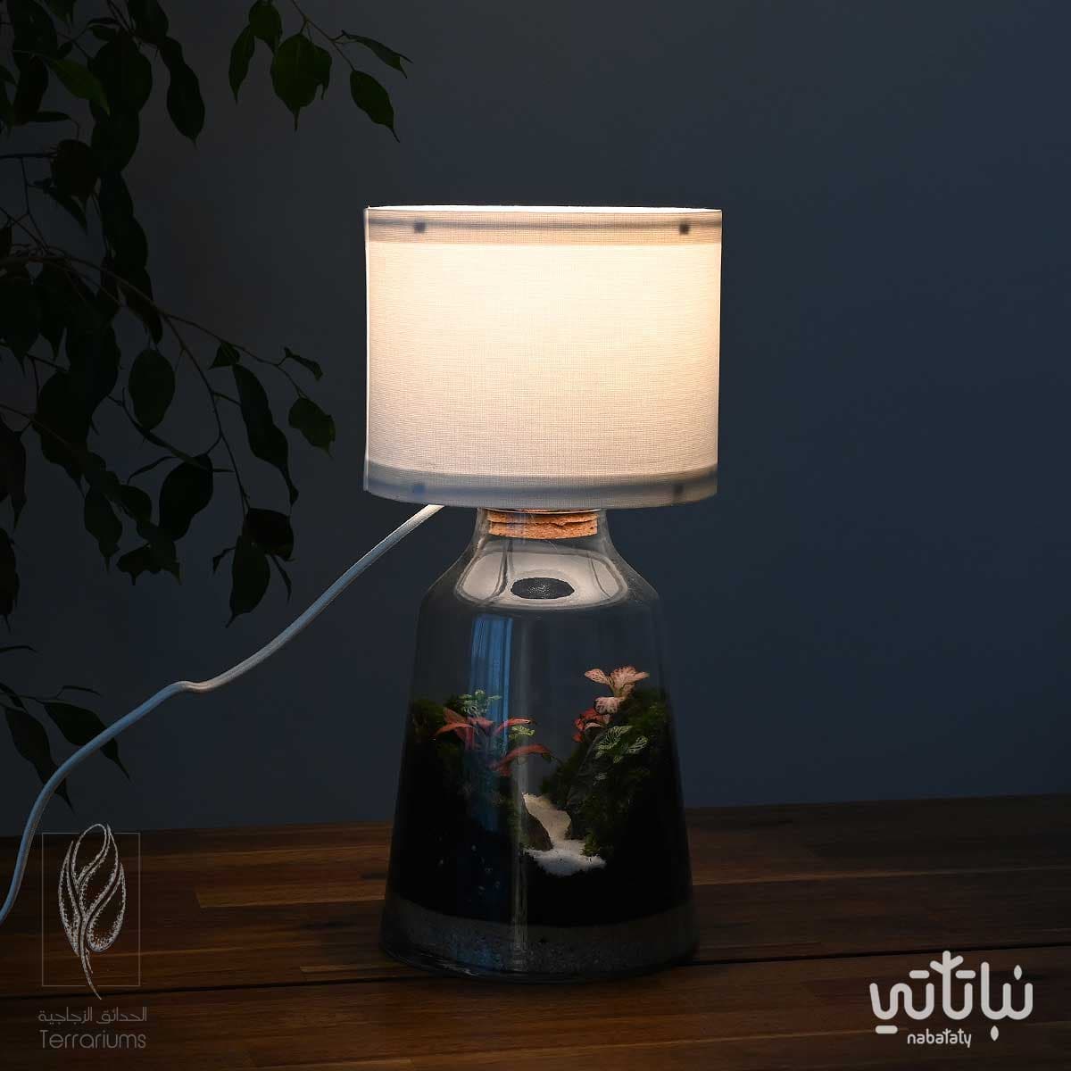 غابة الأبجورة | نبتة ديكورية زجاجية مضيئة
