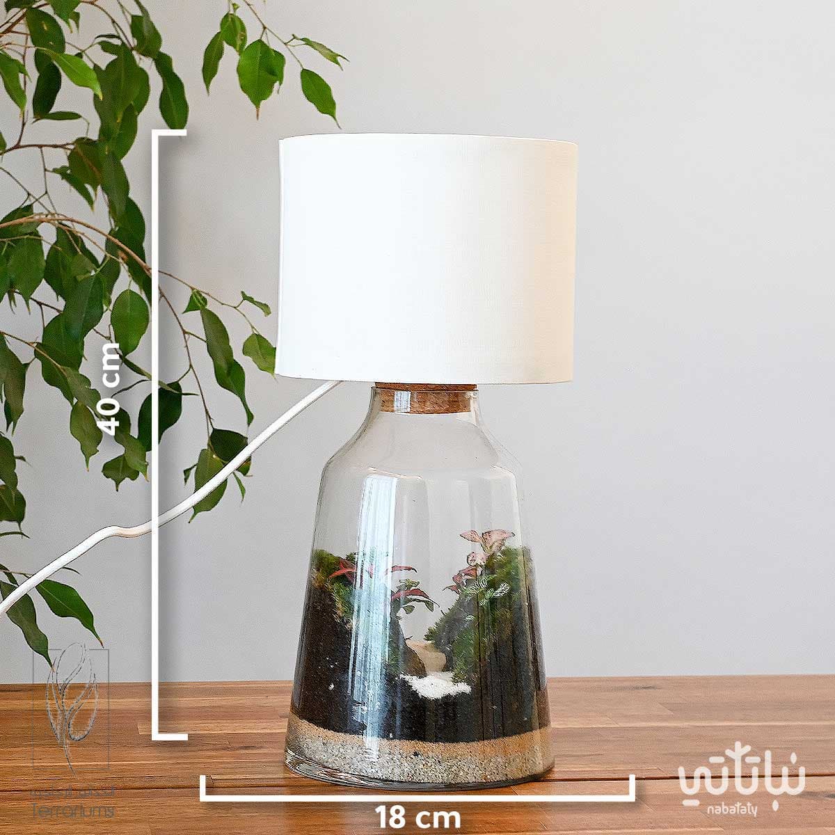 غابة الأبجورة | نبتة ديكورية زجاجية مضيئة 2