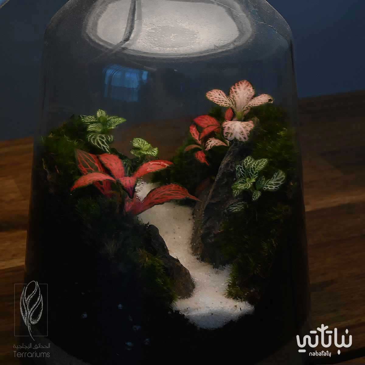 غابة الأبجورة | نبتة ديكورية زجاجية مضيئة 4