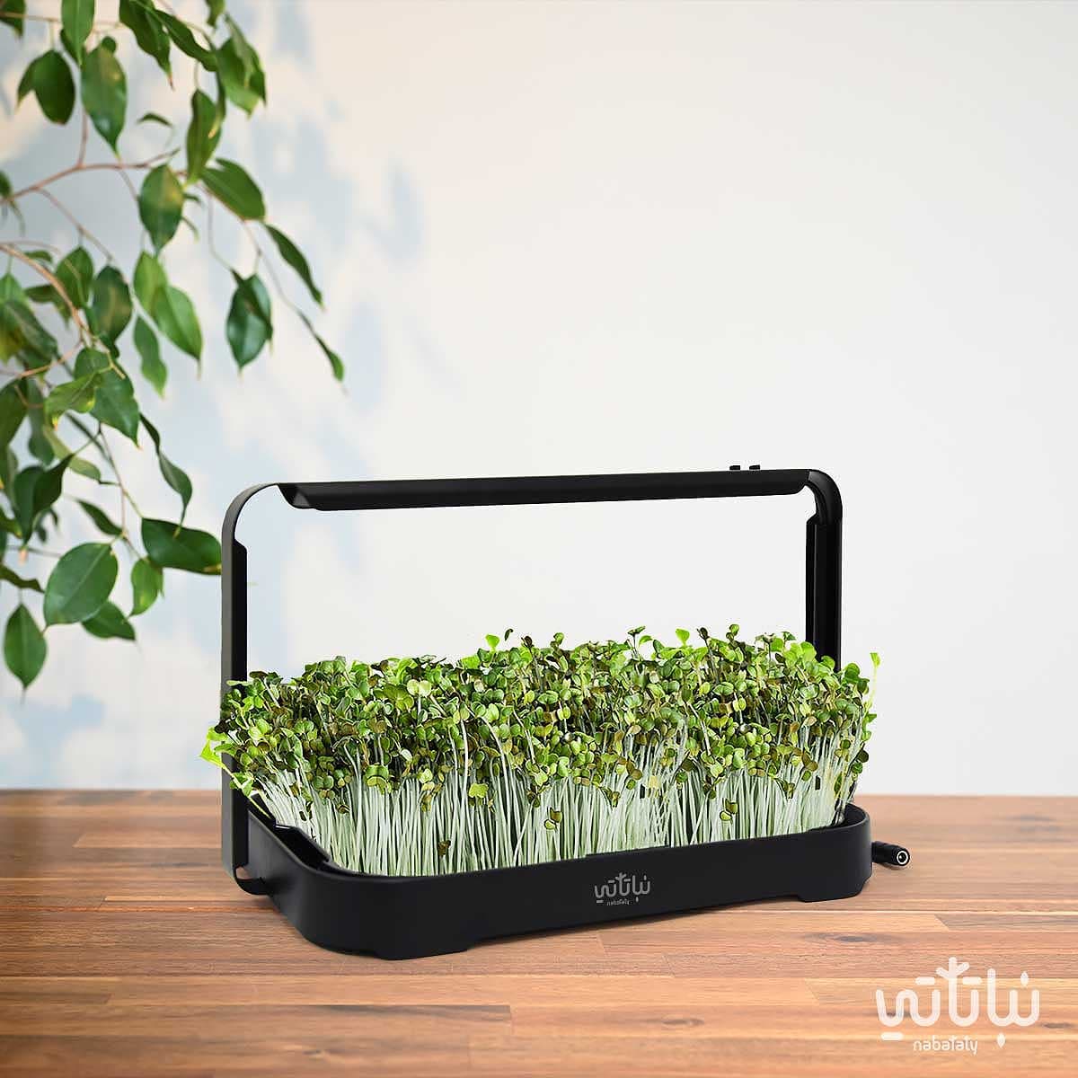 حديقة داخلية ذكية 1