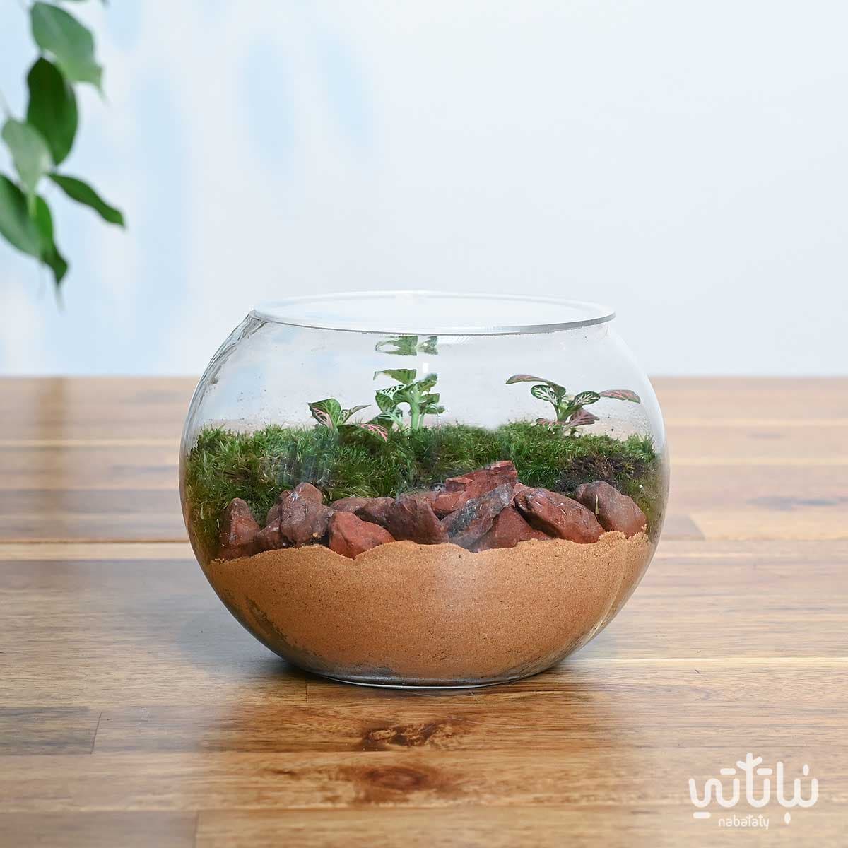 حديقة الفيتونيا ويندو