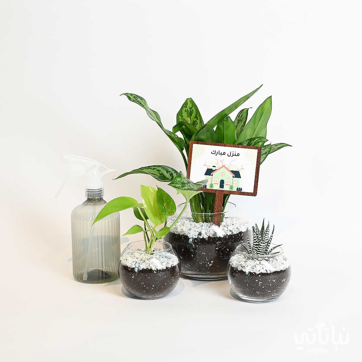 هدية منزل مبارك المجموعة الزجاجية 1