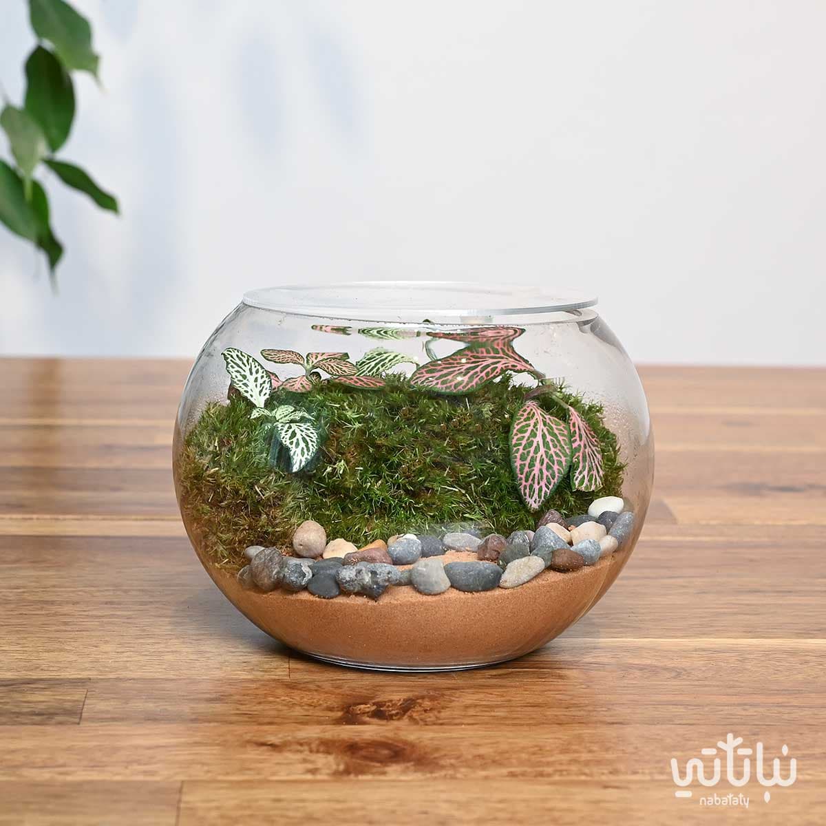 حديقة الفيتونيا