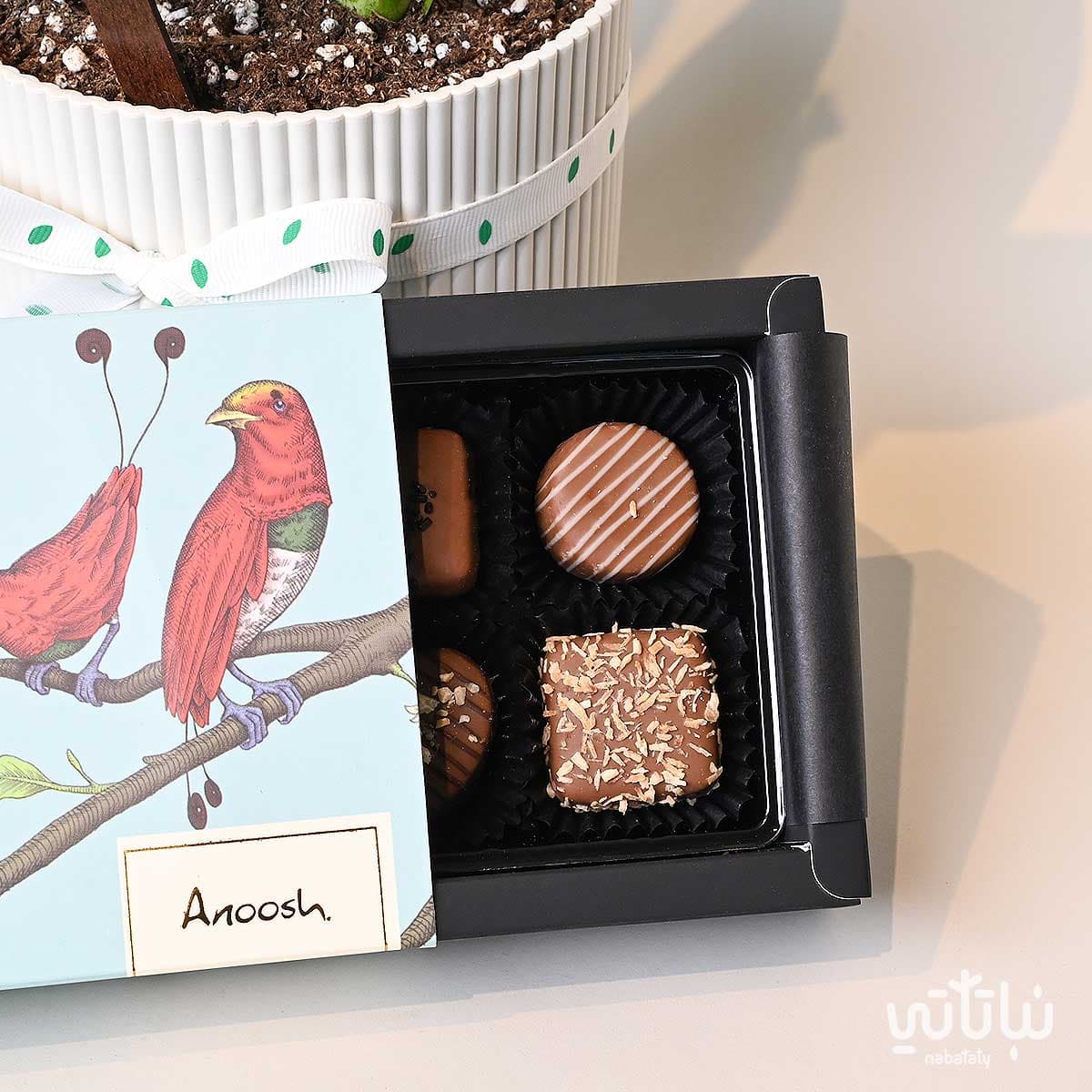 هدية قدامك العافية نبتة جلد النمر وتشوكلت بلجيكي 3