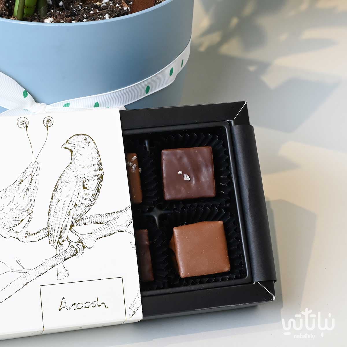 هدية قدامك العافية نبتة الزاميا وتشوكلت سولتد كراميل 3